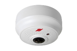 IP Video Solutions